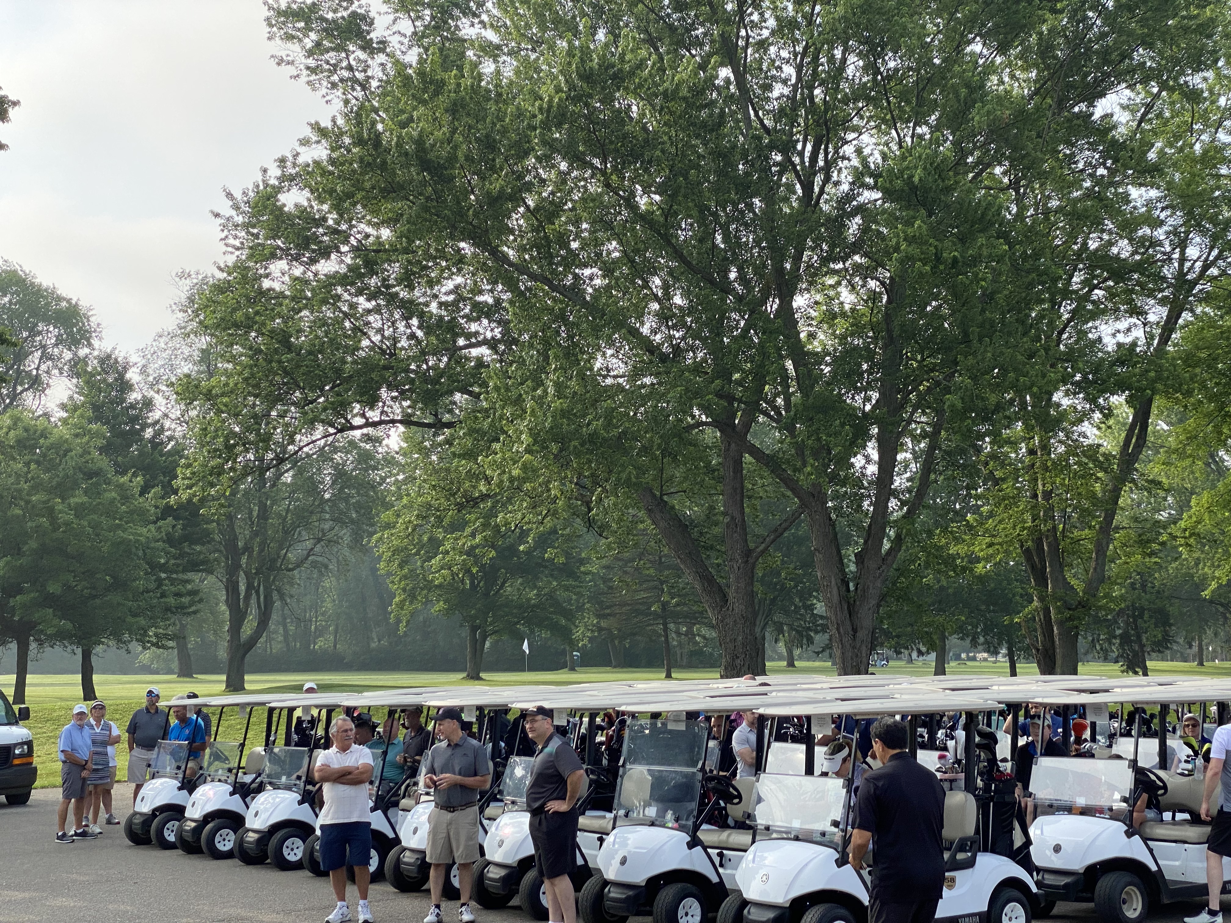 Golf carts